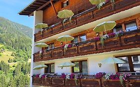 Hotel Buckelhof - See - Free Liftpass Summer